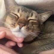 ヒメ日記 2025/08/01 17:17 投稿 ことの One More奥様　横浜関内店