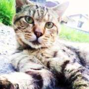 ヒメ日記 2025/08/15 14:00 投稿 ことの One More奥様　横浜関内店