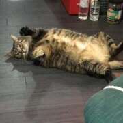 ヒメ日記 2025/09/08 01:00 投稿 ことの One More奥様　横浜関内店