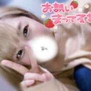 ヒメ日記 2025/09/15 18:59 投稿 ことの One More奥様　横浜関内店