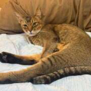 ヒメ日記 2025/09/30 16:45 投稿 ことの One More奥様　横浜関内店