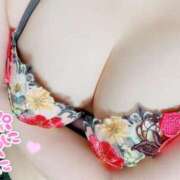 ヒメ日記 2025/10/12 20:00 投稿 ことの One More奥様　横浜関内店