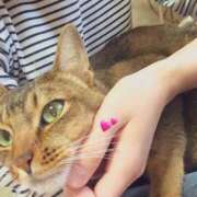 ヒメ日記 2026/02/20 04:27 投稿 ことの One More奥様　横浜関内店