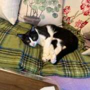 ヒメ日記 2026/03/29 19:13 投稿 ことの One More奥様　横浜関内店