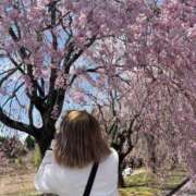 ヒメ日記 2025/04/19 11:29 投稿 しおり デリバリーヘルス熊本インターちゃんこ