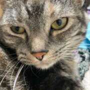 ヒメ日記 2025/05/02 11:39 投稿 しおり デリバリーヘルス熊本インターちゃんこ