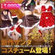 ヒメ日記 2025/12/23 10:04 投稿 なみ クラブKG