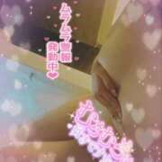 ヒメ日記 2025/06/14 05:41 投稿 いくみ サンキュー沼津店（サンキューグループ）