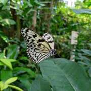 ヒメ日記 2025/03/14 19:06 投稿 まゆみ 北九州人妻倶楽部（三十路、四十路、五十路）