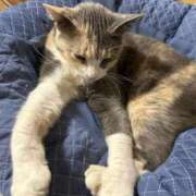 ヒメ日記 2026/03/11 20:31 投稿 ひかる 札幌回春性感マッサージ倶楽部