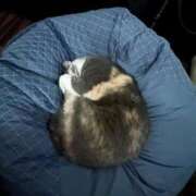 ヒメ日記 2026/03/12 06:30 投稿 ひかる 札幌回春性感マッサージ倶楽部