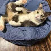 ヒメ日記 2026/03/14 12:28 投稿 ひかる 札幌回春性感マッサージ倶楽部