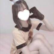 ヒメ日記 2024/12/15 17:36 投稿 そら ZERO-i