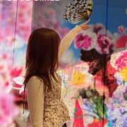 ヒメ日記 2025/03/14 14:09 投稿 夢か現か幻か グッドスマイル