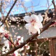 ヒメ日記 2025/03/24 20:46 投稿 ちふゆ デザインプリズム新宿