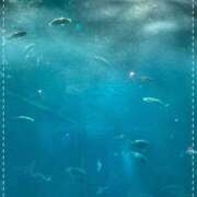 ヒメ日記 2025/05/08 20:20 投稿 ちふゆ デザインプリズム新宿