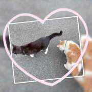 ヒメ日記 2025/06/24 20:19 投稿 ちふゆ デザインプリズム新宿