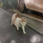 ヒメ日記 2025/06/27 18:10 投稿 ちふゆ デザインプリズム新宿