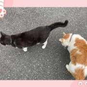 ヒメ日記 2026/03/12 14:16 投稿 ちふゆ デザインプリズム新宿