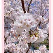 ちふゆ ぽかぽかでしたね🌸 デザインプリズム新宿