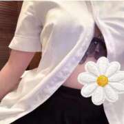 ヒメ日記 2025/11/26 23:07 投稿 望月　かえで ナディア名古屋店