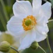 ヒメ日記 2024/12/15 15:12 投稿 滝沢佑里香 五十路マダム姫路店