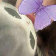 ヒメ日記 2025/10/06 09:50 投稿 ねね Tokyo fairy land-東京フェアリーランド-