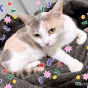 ヒメ日記 2025/01/13 17:16 投稿 べる ぷるるん小町日本橋店