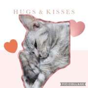 ヒメ日記 2025/02/18 16:19 投稿 べる ぷるるん小町日本橋店