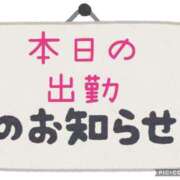 ヒメ日記 2025/03/08 17:44 投稿 べる ぷるるん小町日本橋店