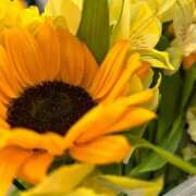 ヒメ日記 2025/09/24 14:38 投稿 べる ぷるるん小町日本橋店