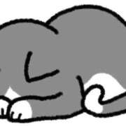 ヒメ日記 2026/01/17 22:49 投稿 べる ぷるるん小町日本橋店