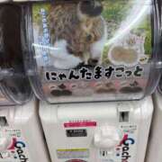 ヒメ日記 2026/01/31 20:32 投稿 べる ぷるるん小町日本橋店