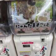 ヒメ日記 2026/01/31 20:48 投稿 べる ぷるるん小町日本橋店