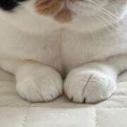 Ｍei（めい） 9 AMATERAS(アマテラス)(福山)