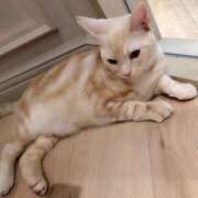 ヒメ日記 2025/02/22 18:06 投稿 梅田 上野CLUB A(クラブ エー)