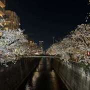 ヒメ日記 2025/04/08 06:00 投稿 梅田 上野CLUB A(クラブ エー)