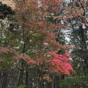 梅田 11月🍁 上野CLUB A(クラブ エー)