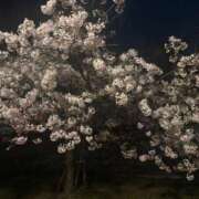 ヒメ日記 2025/04/11 18:49 投稿 みやび 佐久上田人妻隊