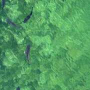 ヒメ日記 2025/08/19 19:15 投稿 みやび 佐久上田人妻隊