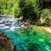 ヒメ日記 2025/09/16 07:00 投稿 みやび 佐久上田人妻隊