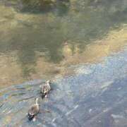 ヒメ日記 2025/11/05 10:00 投稿 みやび 佐久上田人妻隊