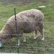 ヒメ日記 2025/12/19 08:45 投稿 みやび 佐久上田人妻隊