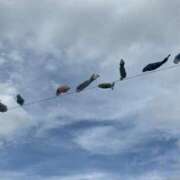 ヒメ日記 2026/04/17 17:39 投稿 みやび 佐久上田人妻隊