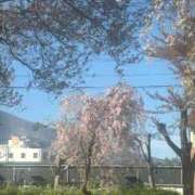 ヒメ日記 2026/04/21 17:19 投稿 みやび 佐久上田人妻隊