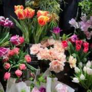 ヒメ日記 2025/02/06 09:27 投稿 【熟女】やよい 人妻華道－上田店