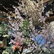 ヒメ日記 2025/04/11 11:59 投稿 【熟女】やよい 人妻華道－上田店