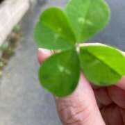 ヒメ日記 2025/06/05 12:30 投稿 【熟女】やよい 人妻華道－上田店