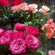 ヒメ日記 2025/06/07 08:05 投稿 【熟女】やよい 人妻華道－上田店