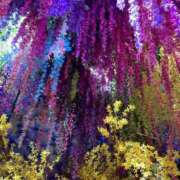 ヒメ日記 2025/06/07 16:11 投稿 【熟女】やよい 人妻華道－上田店